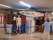 ゴミの家