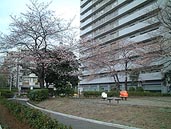 品川区南大井のみなみ児童遊園の全景