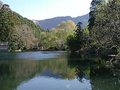 湯布院 金鱗湖